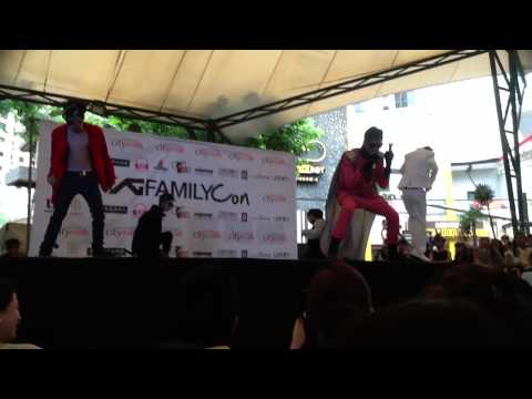 [YG HIGH: YG FAMILY CONVENTION] o6.o2.13 BIK BAENG