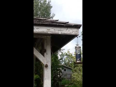 Tufty Squirrel & the Bird Feeder Canada 2015