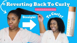 Reverting Back to Curly! | Pattern Beauty Bounce Back Treatment