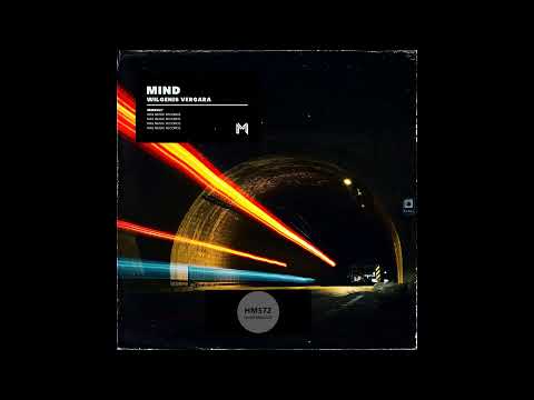 Wilgenis Vergara _ Mind (Original Mix)