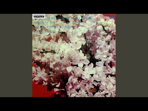 Most kezdődik a tánc