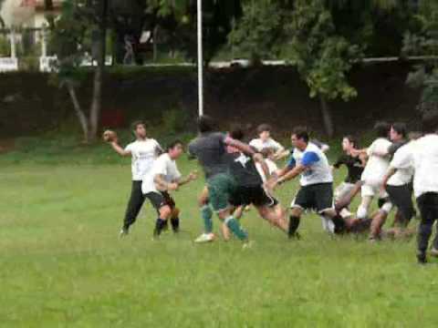 Londrina BristleBacks