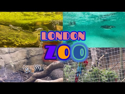 ZSL London Zoo Tour 2023 (London Zoo’s Wild Wonder)