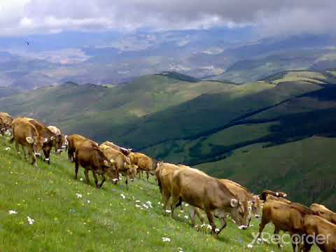 AŞIK MUSTAFA AYDIN TÜRKÜLERİ