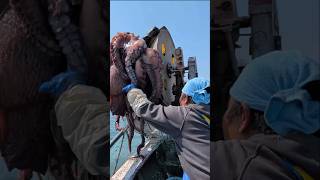 驚愕の巨大生物襲来！#shorts #amazing #fisherman