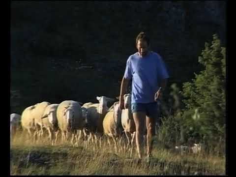 Un auratge pel causse