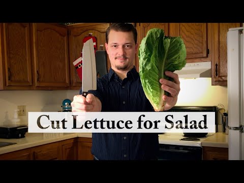 Perfectly Cut Romaine Lettuce for Salad FAST