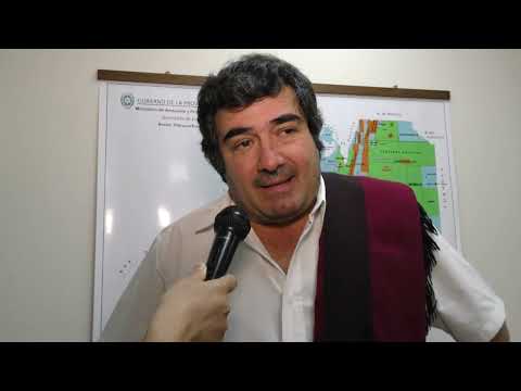 Cambio climático: Sector público y privado trabajan para estimular la producción de energías limpias