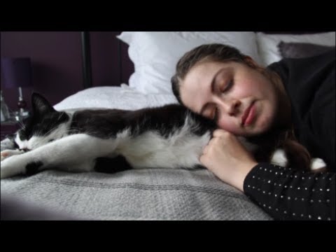 Lola's RSPCA Cat Adoption Story.