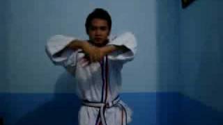 combat aikido like steven seagal