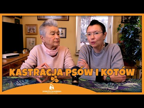 PORADNIK #1: Kastracja psów i kotów