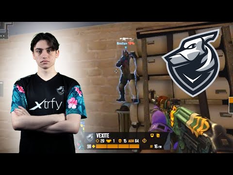 Vexite crazy clutch - NIP vs Grayhound