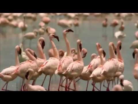 Suche nach Gerti all parts