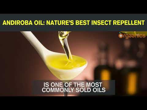 Andiroba Oil:  Nature's Best Insect Repellent