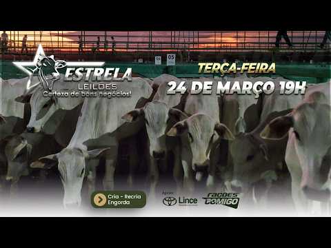 ESTRELA LEILÕES  - AO VIVO - 24/03/2026  -  19H - Morrinhos  - Goiás
