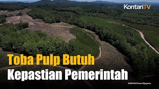 PT Toba Pulp Lestari Sebut Belum Terima Surat Pencabutan Izin