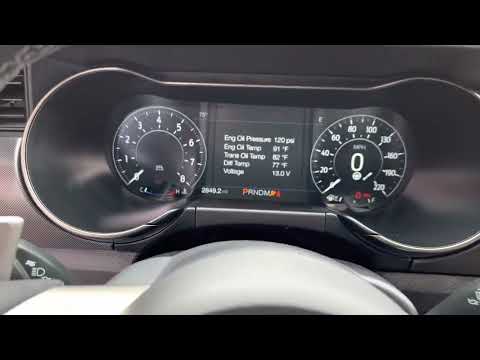 2021 Ford Mustang (CC-1629205) for sale in New Hyde Park, New York