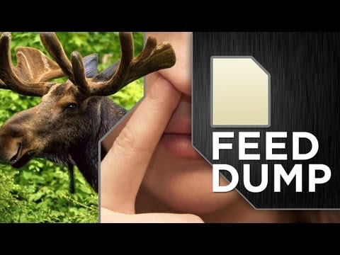 THE CRAY SCALE (Feed Dump)