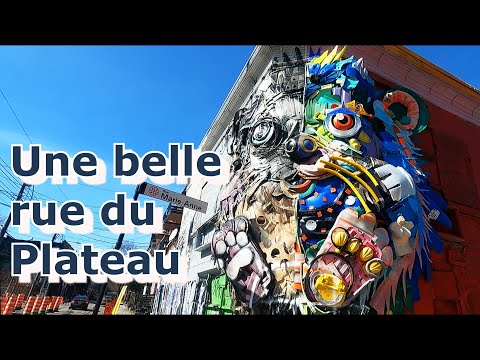 La rue la plus typique du Plateau Mont-Royal? #montreal