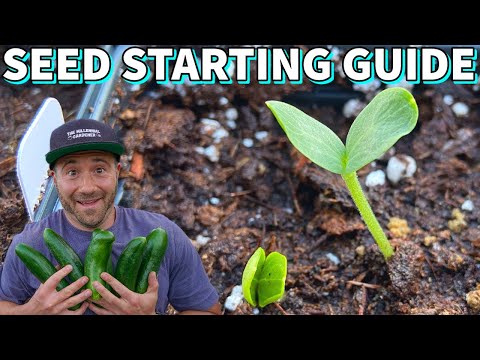 The ULTIMATE GUIDE To Growing CUCUMBERS, SQUASH & MELONS From Seed