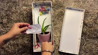 Beautiful Raksha Bandhan gifts for siblings . #greengifts #plants #rakshabandhan #rakhi