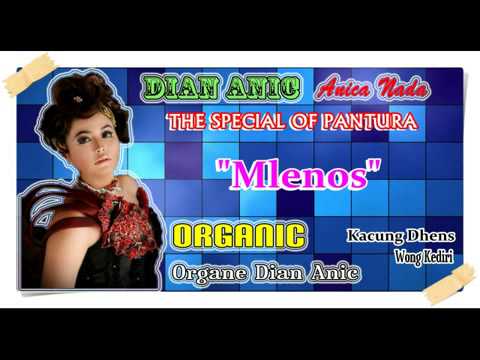 Album 2014 DIAN ANIC | Mlenos (Audio)