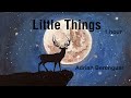 Little Things Immaterial Adrian Berenguer 1 Hour