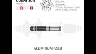 A Quick Look at Cognition