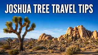 Joshua Tree Travel Tips: Surviving the Heat in California Desert