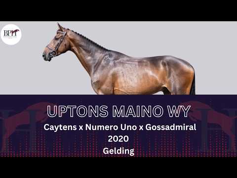 Uptons Maino WY