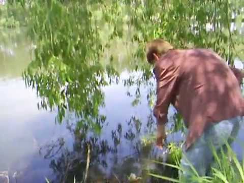 La pescuit , cu Vasea si Costel  , Vaslui