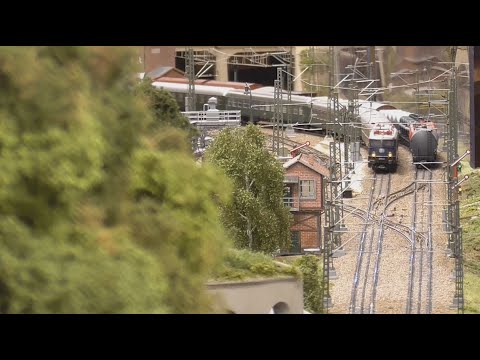 Auwiesen Betrieb - Zoom Züge ganz nah