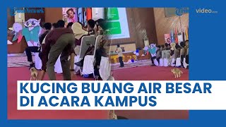Detik-Detik Kucing Berak di Red Karpet saat Acara Penting di Kampus
