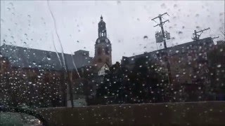 isabel- the wombats (cover)