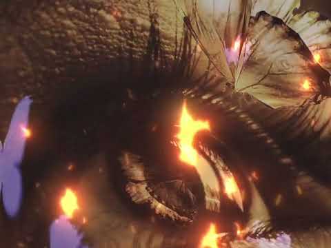 Aşık Der Ahu Gözler | Unutulmaz Anonim Türkü (Canlı Performans / Akustik Versiyon