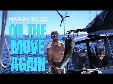 Where is EVERYONE? | EP26 - Cruising the Sea of Cortez - SV Stella J