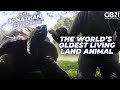 192 Year Old Tortoise Named Jonathan Is Now The World S Oldest Living Land Animal
