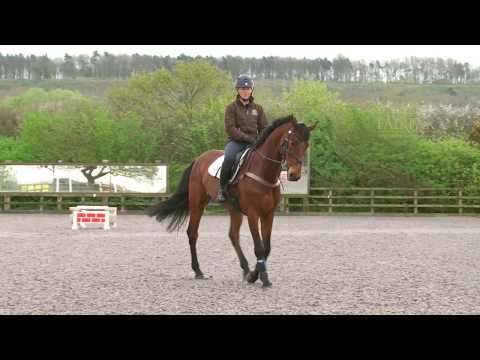 Emilie Chandler Masterclass in Minutes no 2 - skinnies part 2