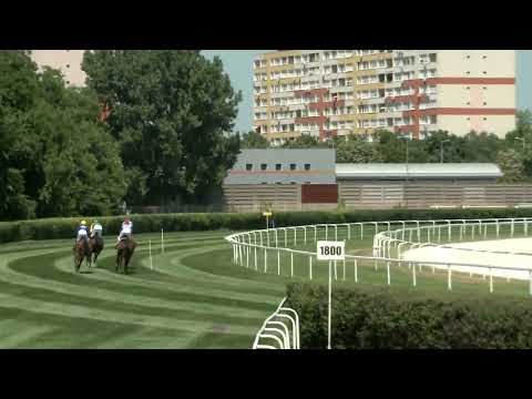 2022.07.03. 01. futam - KOCSI ZOLTÁN EMLÉKVERSENY - NÚSZ DÍJ-NYÁRI GÁTVERSENY