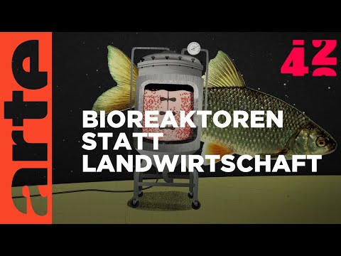 Können wir ohne Landwirtschaft leben? | 42- Die Antwort auf fast alles | ARTE