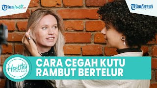 Alami Rasa Gatal pada Kepala akibat Kutu Rambut, Ini Cara Mudah Atasi Kutu Rambut agar Tak Bertelur