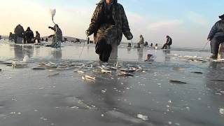 Посьет приморский край рыбалке зимней