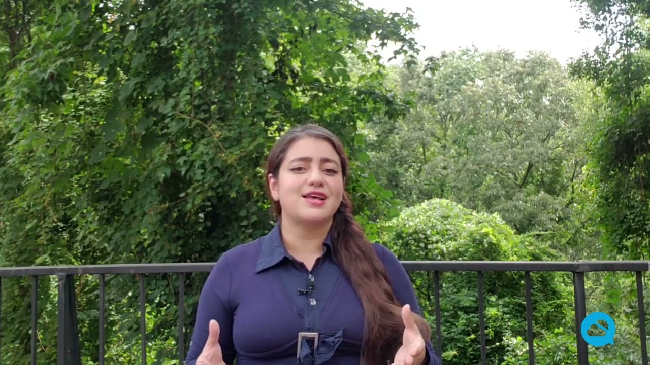 youtube video id=Qh09LEohL_A