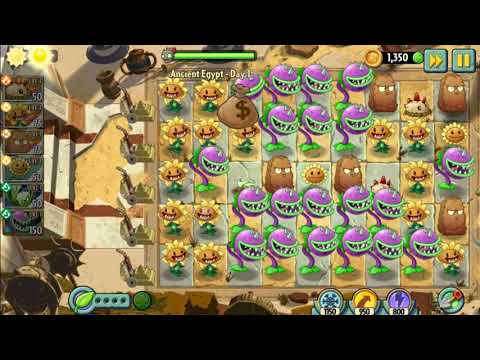 Celery stalker vs bonk choy