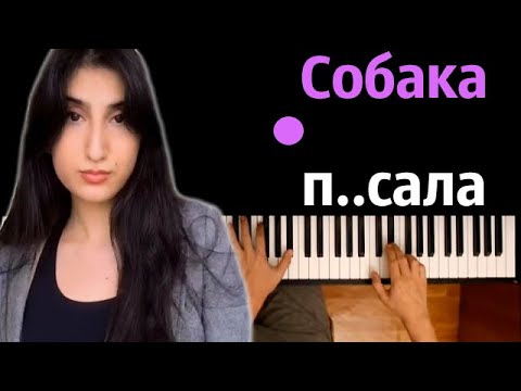 Собака п..сала (Chernaya Princessa) ● караоке | PIANO_KARAOKE ● ᴴᴰ + НОТЫ & MIDI