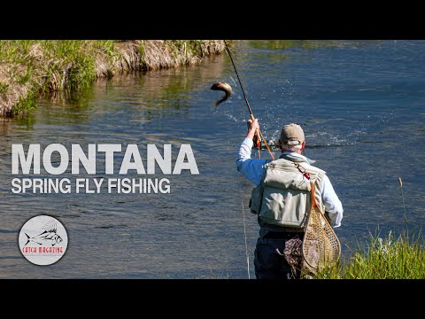 Spring Creek FLY FISHING: BIG FISH Knee Deep in Montana’s Madison Valley