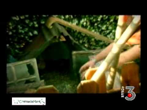 CinemadaMare in tv - Ospite Luca Murri