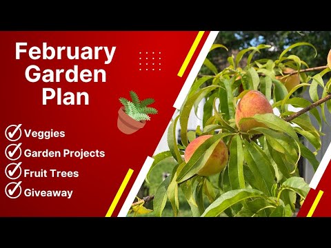 , title : 'FEBRUARY GARDEN PLAN REVEALED AND FREE SEED GIVEAWAY!'