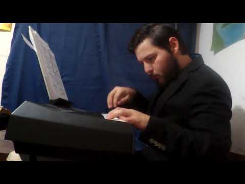 Healing Flower Theme Piano Performance Video