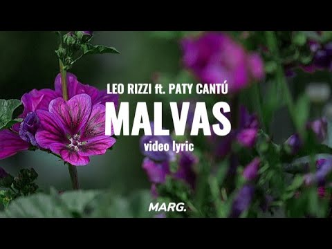 {Malvas ~ Leo Rizzi ft. Paty Cantú}//[Marg.Lyrics]\\Leer descripción//